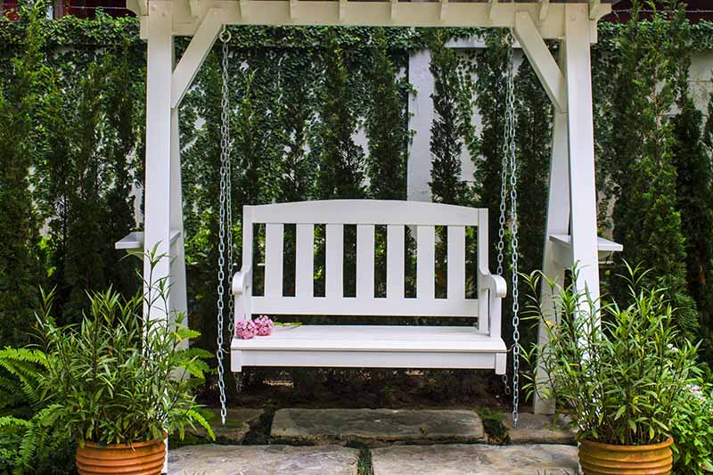 A white wooden bench seat hangs by chains from an outdoor pergola with an ivy clad wall in the background and potted plants to either side.