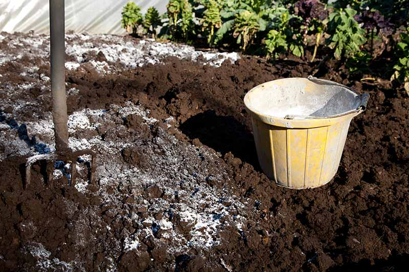 How To Use Eggss In The Garden, How To Add Calcium Garden Soil