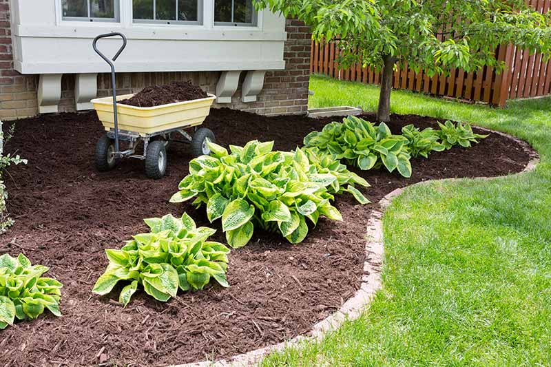 Mulch For Low Maintenance Gardening, Best Type Of Mulch To Use Around House