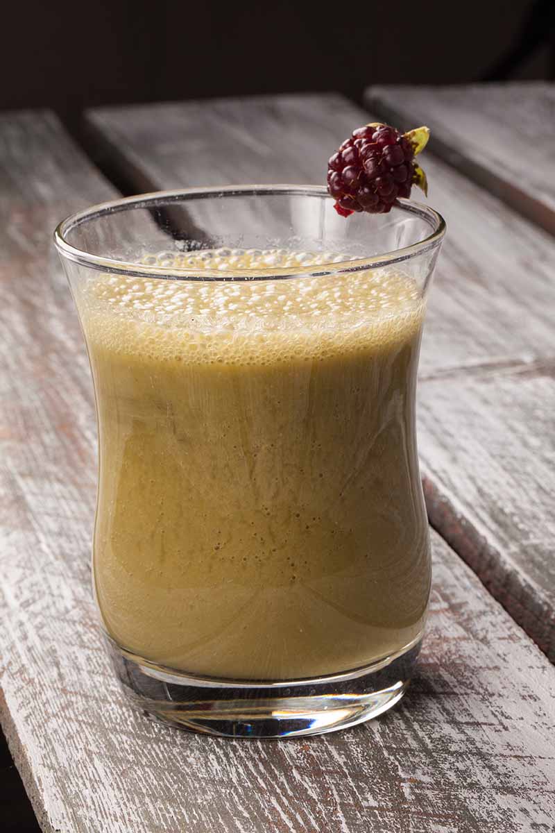 A vertical picture of a small glass containing a freshly made smoothie set on a wooden surface.