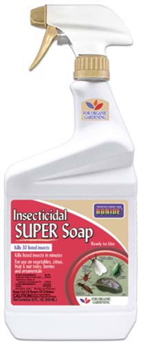 Bonide Insecticidal Super Soap on a white, isolated background.