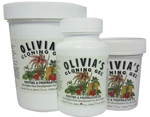 A close up of three bottles of Olivia's Cloning Gel for rooting stem cuttings, on a white background.