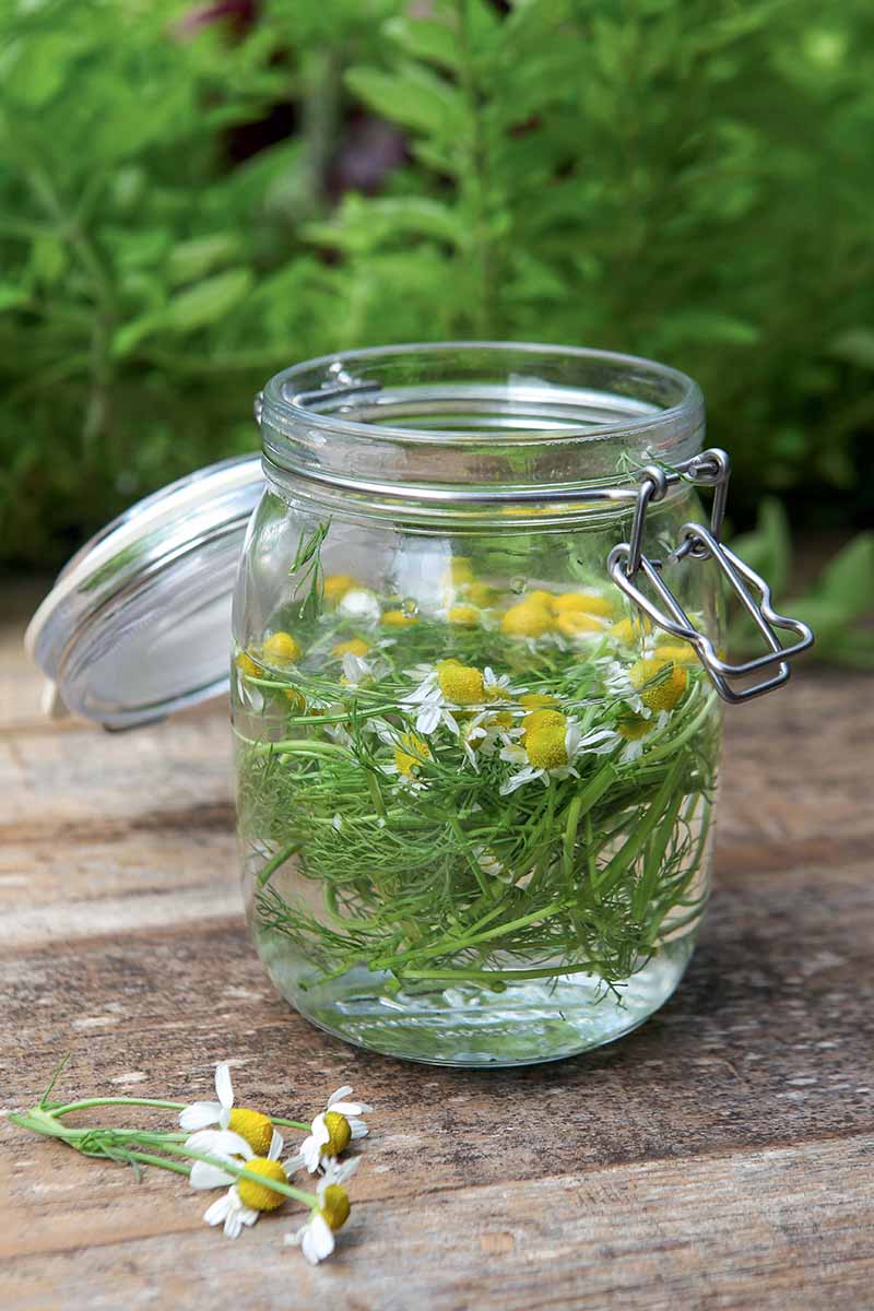 A vertical picture of a kilner jar containing flowers and herbs in water, set on a wooden surface, with foliage in soft focus in the background.