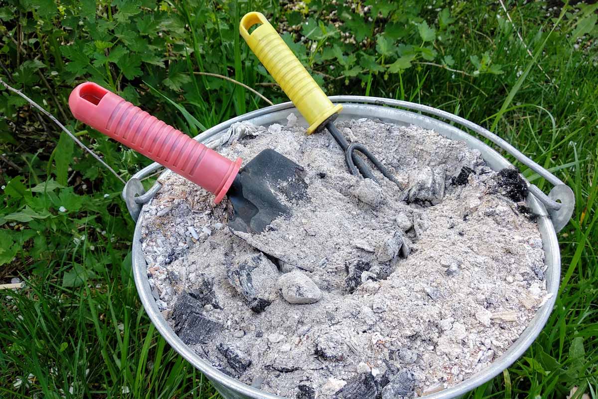 A close up of a metal bucket full of wood ashes from the fireplace, with a small shovel and cultivator, set on a lawn.