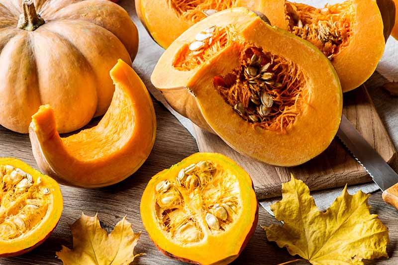 A close up of a variety of different winter squash sliced and set on a wooden surface.