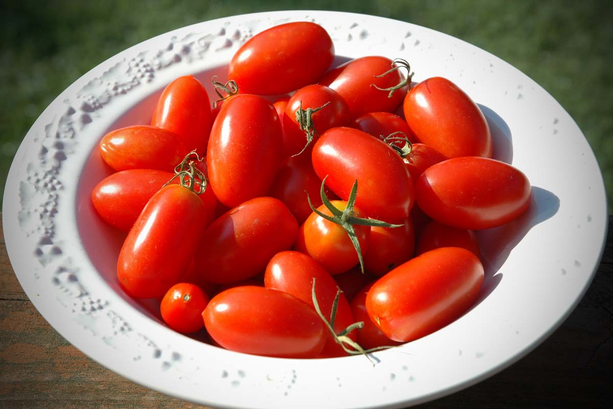 Red roma tomatoes resting in a white platter.