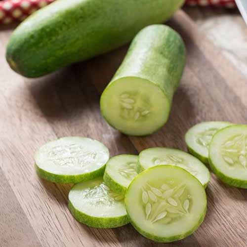 A close up of a sliced Cucumis sativus 'Straight Eight' set on a wooden chopping board.