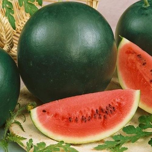 A close up, square image of a slice of watermelon, showing the bright red flesh, in contrast to the dark green skin of the whole fruit pictured in the background.
