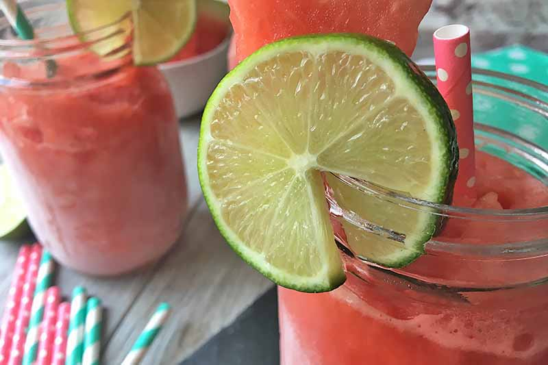 Closeup closely cropped horizontal image of two watermelon daiquiris in mason jars, with paper straws, garnished with slices of lime.