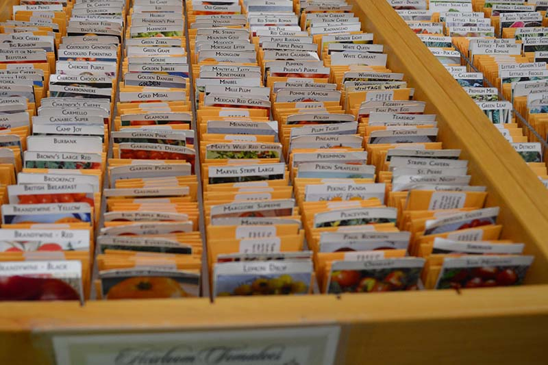 A close up horizontal image of a drawer containing a selection of heirlooms in small, labelled packets.