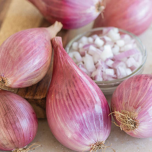 A close up square picture of whole and chopped 'Davidor' shallots set on a wooden surface, pictured on a soft focus background.