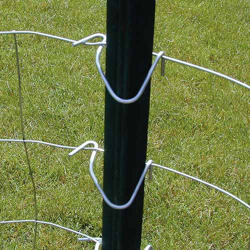 A close up square image of a steel post driven into the ground with wire supports attached and grass in the background.