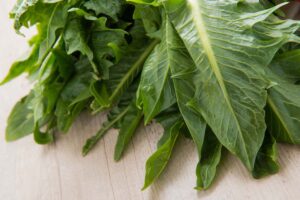 A close up horizontal image of dark green freshly harvested chicory leaves set on a wooden surface.