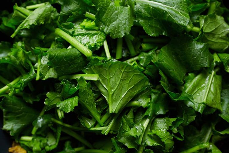 Health Benefits of Turnip Greens | Gardener’s Path