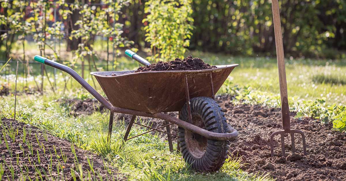 How To Use Leaves For Compost And Mulch, Adding Leaves To Garden Soil