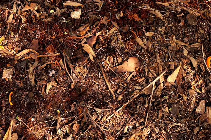 A close up horizontal image of fallen autumn leaves on the ground pictured in light sunshine.