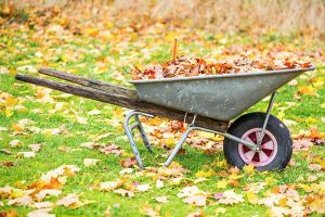How to Use Leaves for Compost and Mulch | Gardener’s Path