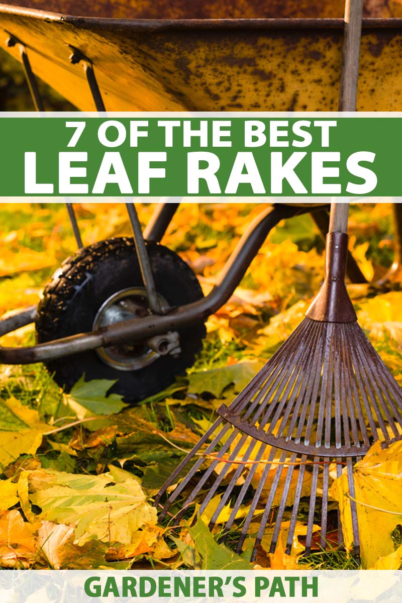 Use for Yard Garden Lawn and Window Leaves Garden Rake Leaf,4 FT Adjustable Leaf Rake Head from 7.5 Inch to 21.75 Inch Leaf Debris Rake 