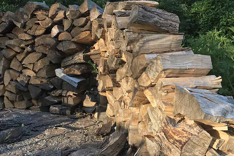 A horizontal image of a neatly stacked pile of split wood pictured in light sunshine with shrubs in soft focus in the background.