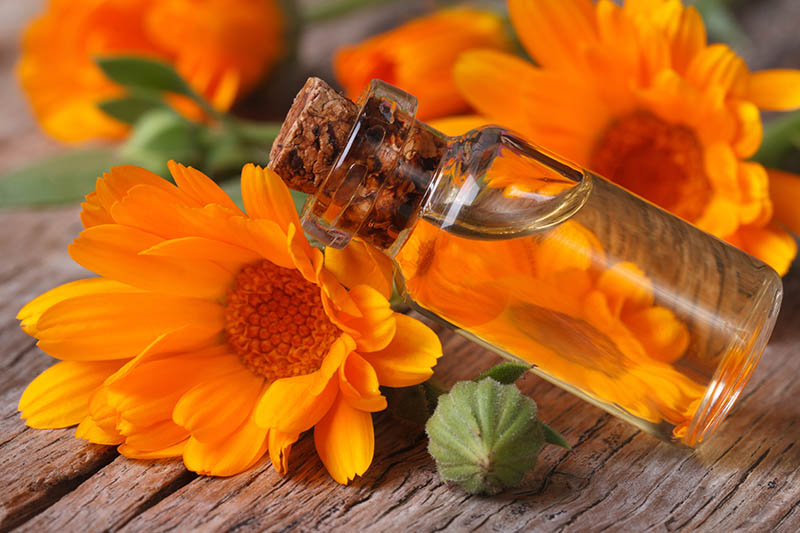 A close up horizontal image of a small bottle of massage oil, surrounded by flowers, on a wooden surface.