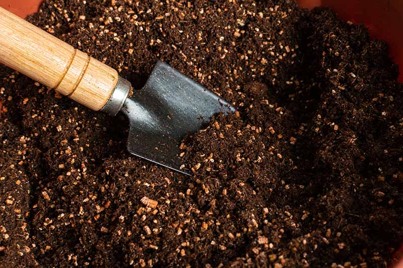 A close up horizontal image of a small garden trowel on the left of the frame digging fresh, rich potting soil.
