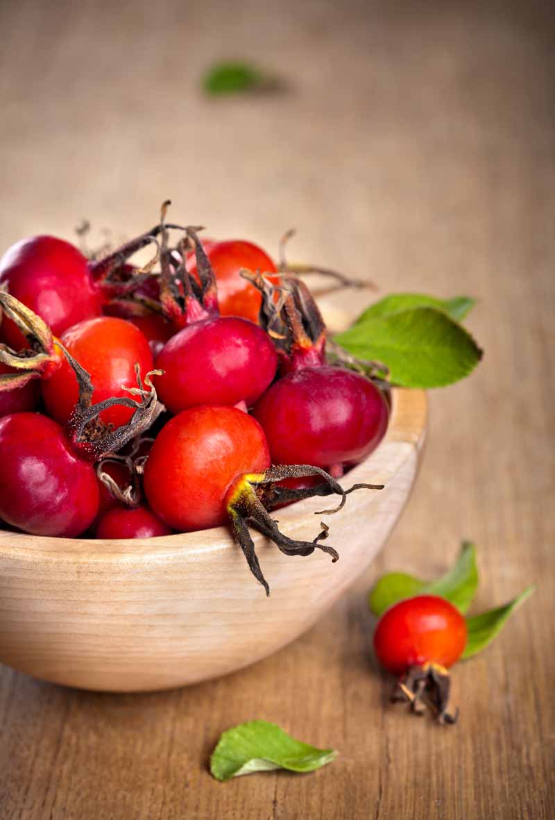 A close up vertical image of a small wooden bowl containing freshly harvested bright red fruit set on a wooden surface.