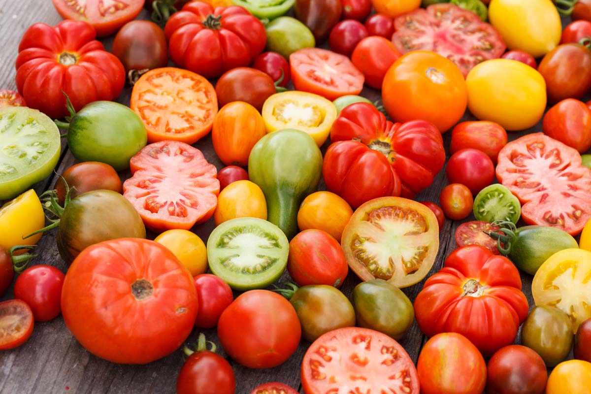 A close up horizontal image of tomatoes in various shapes, colors, and sizes, some sliced and others whole, set on a wooden surface.