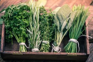 A close up horizontal image of a wooden tray with freshly harvested parsley, rosemary, thyme, sage, and chives, all tied in individual bunches with string and set on a wooden surface.