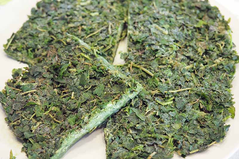 A close up horizontal image of a blend of herbs frozen together.