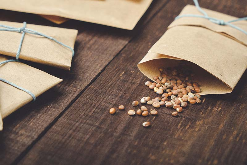 A close up horizontal image of small brown paper envelopes with pips spilling out of one of them onto a wooden surface.