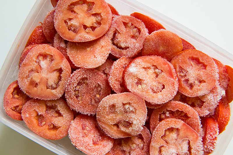 A close up top down horizontal image of a small plastic container filled with sliced, frozen tomatoes, on a white surface.