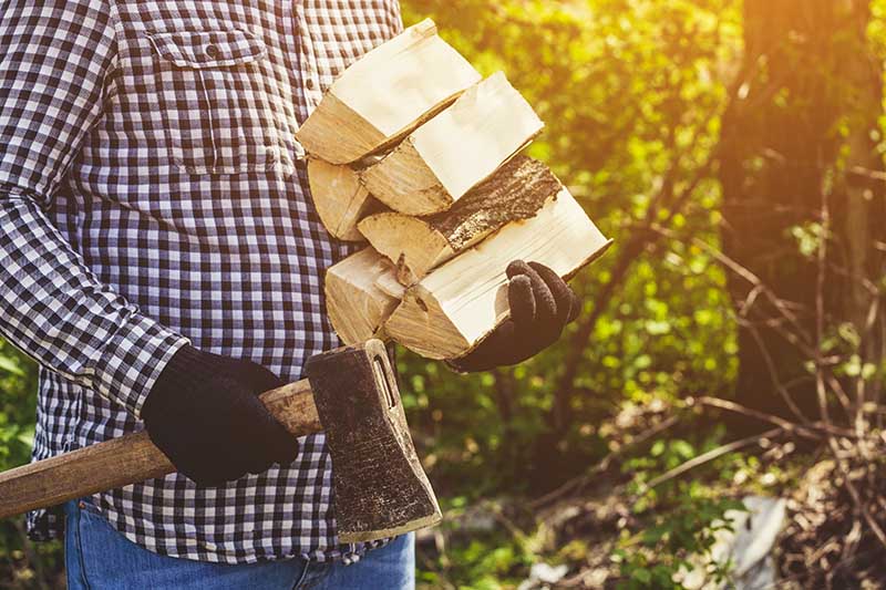 A close up horizontal image of a man walking in the garden holding a splitting maul in one hand and a pile of logs in the other, pictured in light sunshine on a soft focus background.