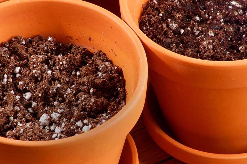 A close up horizontal image of two terra cotta pots side by side filled with potting soil ready for planting.
