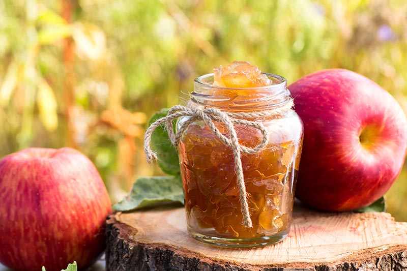 A close up horizontal image of a jar of apple jelly set on a tree stump, with fruits pictured in light autumn sunshine on a soft focus background.
