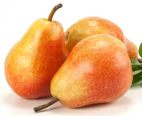 A close up square image of ripe 'Baldwin' pears set on a white surface.