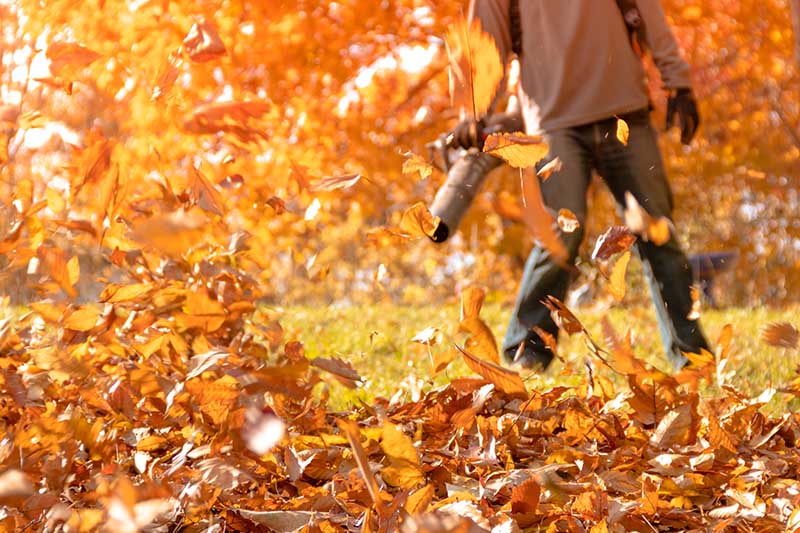 A close up horizontal image of a man in soft focus clearing up autumn leaves from the garden.