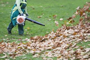 9 of the Best Leaf Blowers in 2022 | A Gardener’s Path Buying Guide