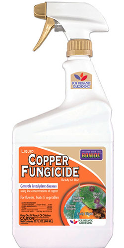 A close up vertical image of a spray bottle of Bonide Copper Fungicide on a white background.
