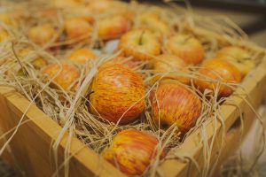 A close up horizontal image of a wooden crate containing freshly harvested apples for long term fresh storage surrounded by straw, pictured on a soft focus background.
