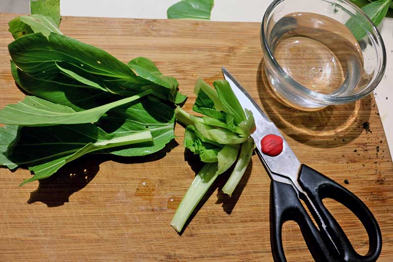 A close up horizontal image of a pair of scissors, a small glass bowl, and a leafy green vegetable set on a wooden chopping board.