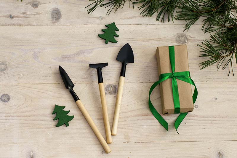 A close up horizontal image of small gardening tools set on a wooden surface with a wrapped gift to the right of the frame.