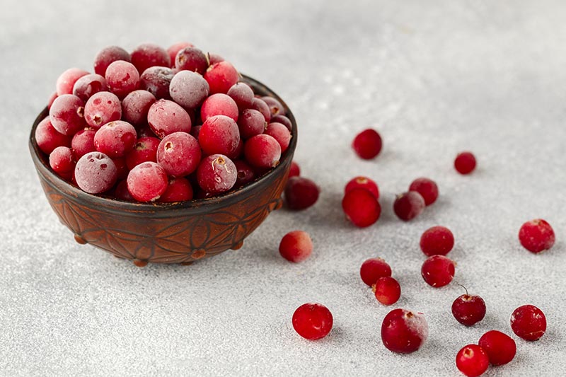 A close up horizontal image of a small bowl of frozen cranberries set on a white surface with some of the berries spilling out.