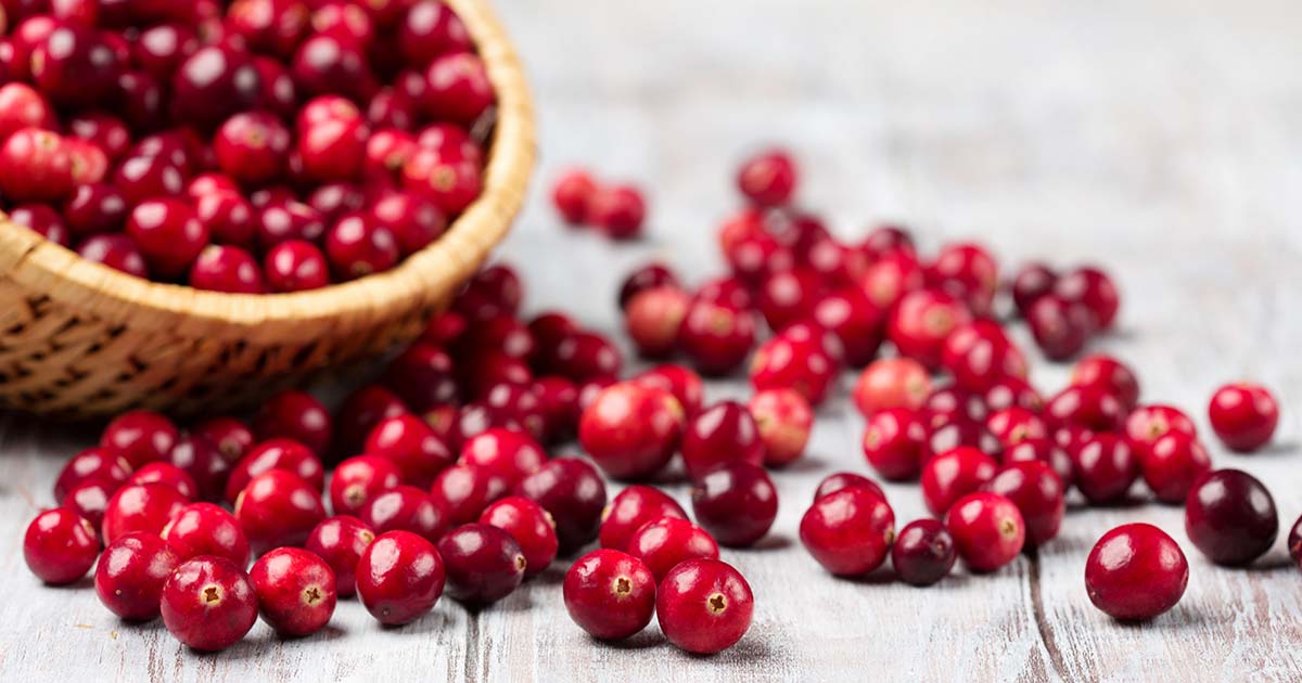 Ask an Expert - Cranberries: A Healthy Holiday Choice