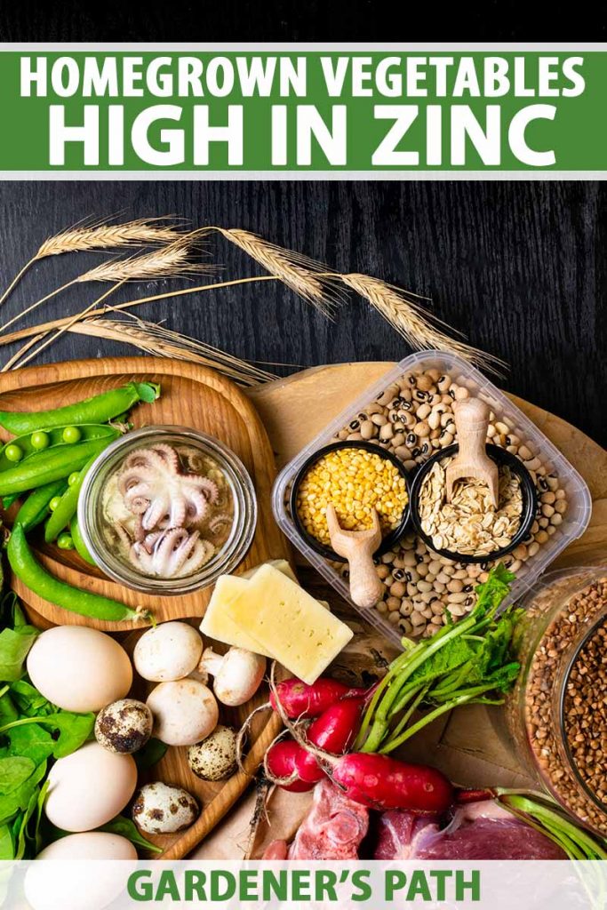 A vertical image of a variety of different foods: legumes, vegetables, mushrooms, and seafood set on a wooden chopping board on a dark wooden background. To the top and bottom of the frame is green and white printed text.