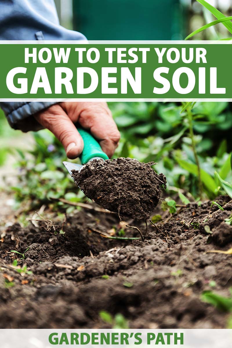 A close up vertical image of a hand from the left of the frame using a small trowel to scoop up some soil in the garden. To the top and bottom of the frame is green and white printed text.