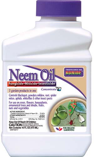 A close up vertical image of the packaging of Bonide Organic Neem Oil for use on plants on a white background.