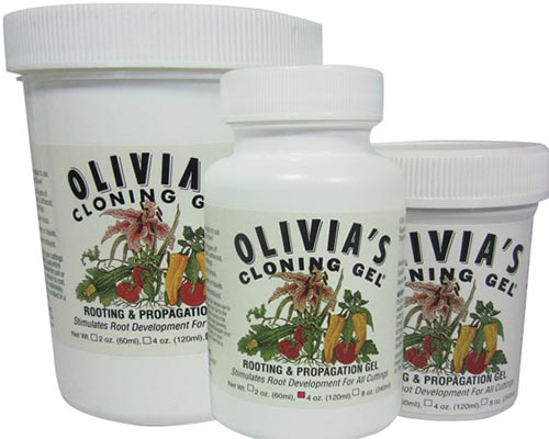 A close up of the packaging of Olivia's Cloning Gel, pictured on a white background.