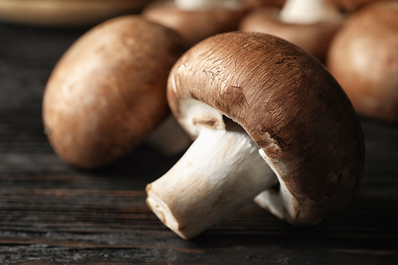 A close up horizontal image of mushrooms on a wooden surface pictured on a soft focus background.