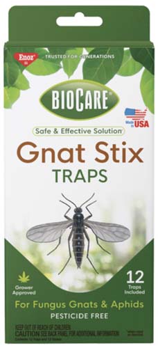 A close up vertical image of the packaging of BioCare Gnat Stix Traps.