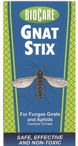 A close up vertical image of the packaging of BioCare Gnat Stix.